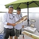 article image -